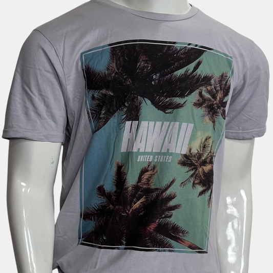 FSBN Slim Fit T-Shirt | Size Chest: 22 | Large