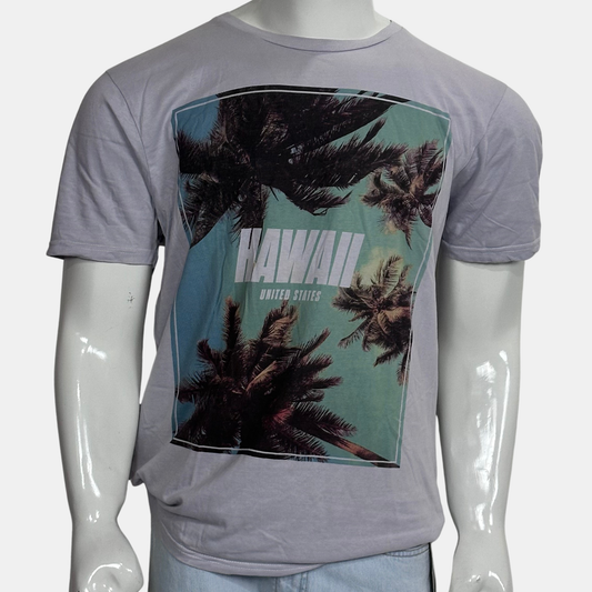 FSBN Slim Fit T-Shirt | Size Chest: 22 | Large
